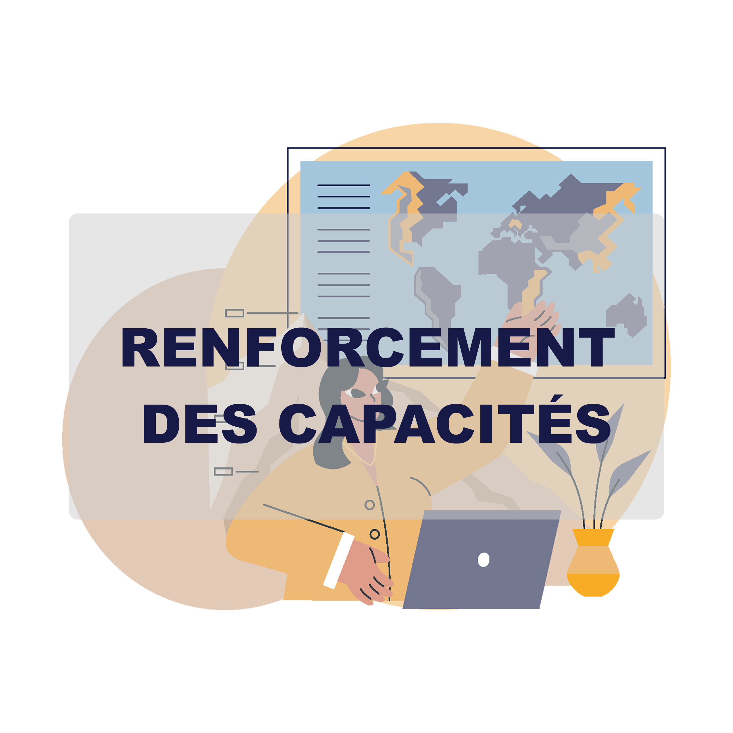 renforcement-des-capacitEs.jpg