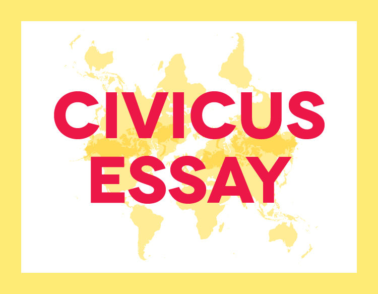 SOCS 2014 CIVICUS Essay