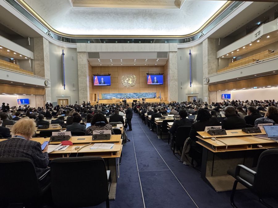 ❝As Human Rights Council turns 20, the UN’s founding promise – ‘We the Peoples’ – is under attack