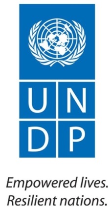 UNDP