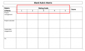 Blank Rubric Template from www.civicus.org